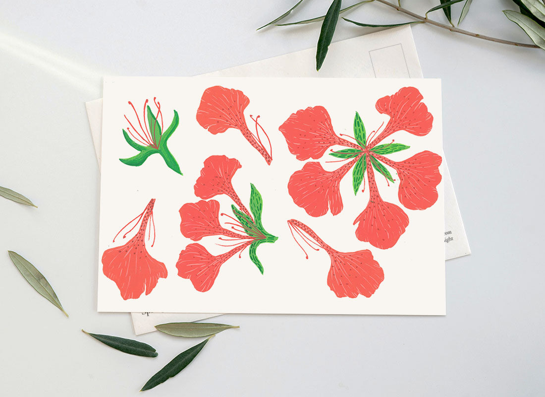 Floral Musings (Postcard)